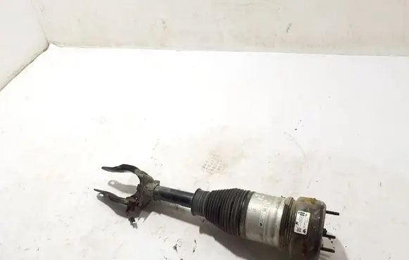 Mercedes-Benz GLS X167 Front shock absorber/damper A1673206900