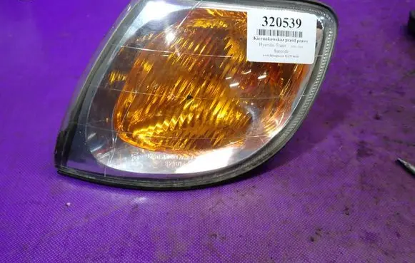 Hyundai Trajet Front indicator light 923013A0