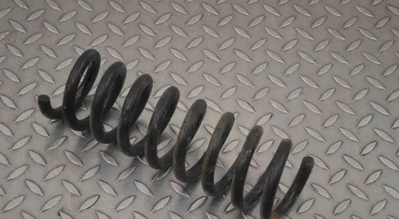 Rear coil spring