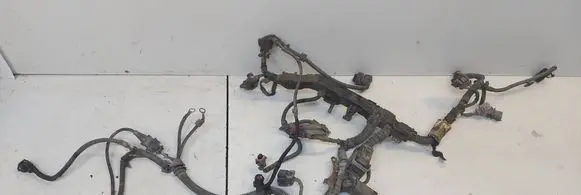 Opel Zafira B Wiring harness 13101091