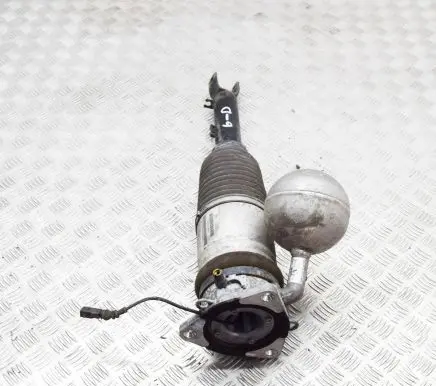 Volkswagen Phaeton Rear shock absorber/damper 3D0616001F