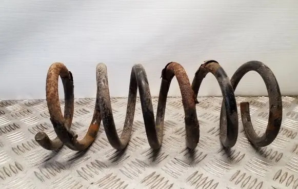 Rear coil spring