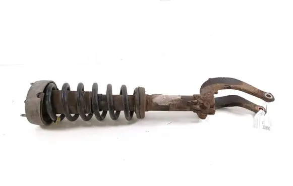 BMW X6 E71 Front shock absorber/damper