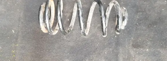 Opel Insignia A Rear coil spring 