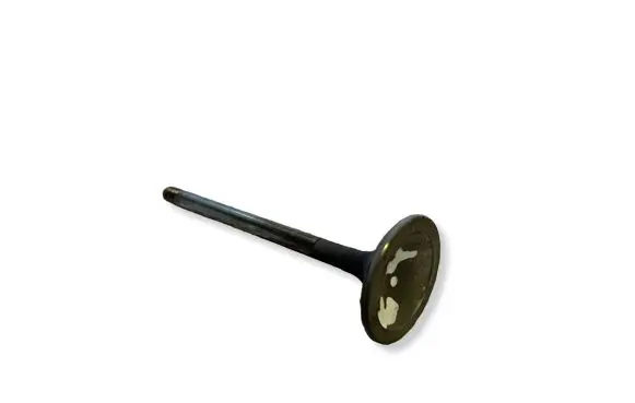 Dodge Challenger Valve 05038332AB