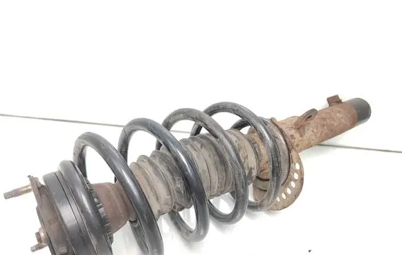 Peugeot 207 Front shock absorber with coil spring