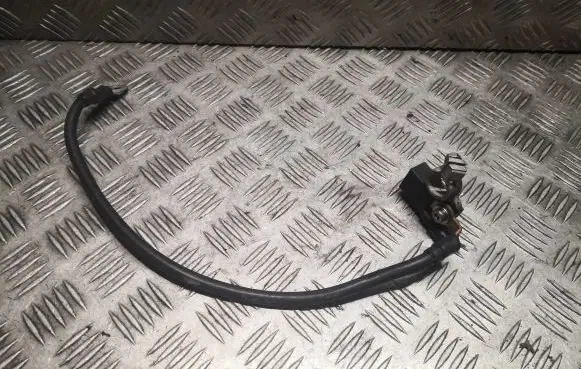 Mercedes-Benz CLS C218 X218 Negative earth cable (battery) 1665420418 A1665420418