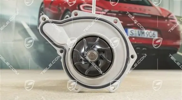 Porsche Cayenne (92A) Tandem pump 95810603314