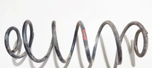 Rear coil spring