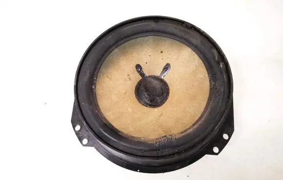 Front door speaker