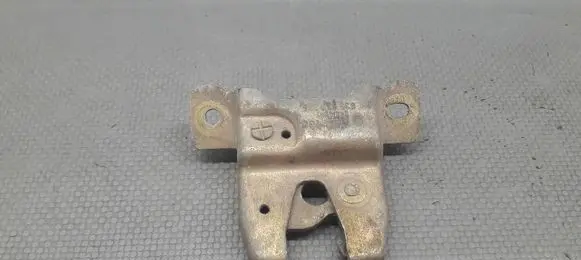 Volkswagen Crafter Tailgate/trunk/boot lock/catch/latch 533827505