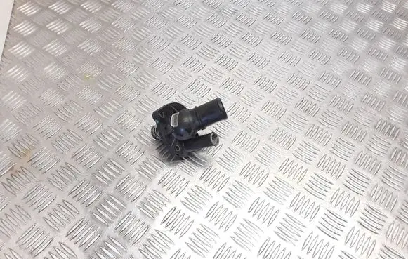 Thermostat/thermostat housing