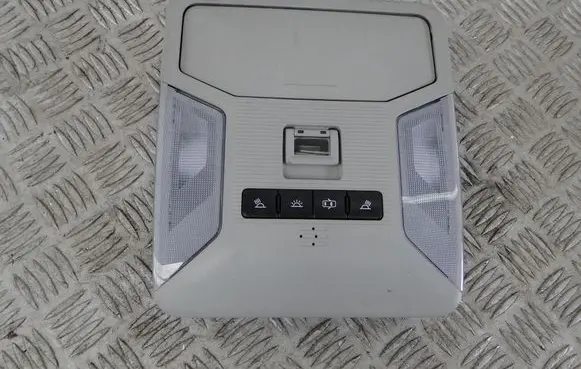 Toyota RAV 4 (XA50) Headlining lighting console trim 1D111-259G