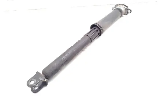 BYD Dolphin Rear shock absorber/damper EM2EU2915700E1