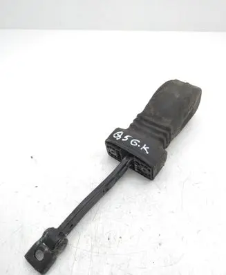 Audi Q5 SQ5 Rear door check strap stopper