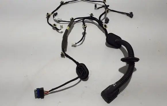 Renault Arkana Other wiring loom 241248964R