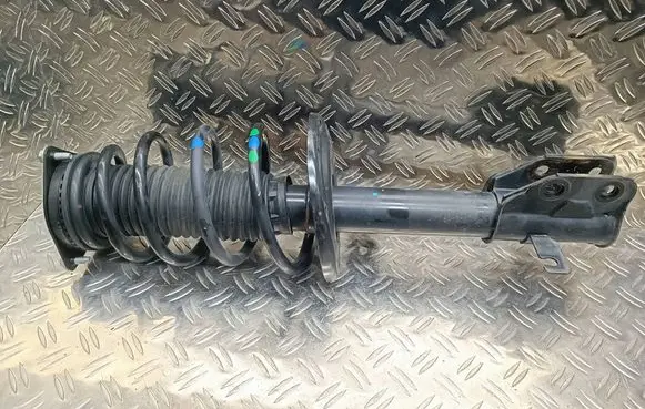 Citroen C4 III e-C4 Front shock absorber with coil spring 9842991880 03011001252 0081037