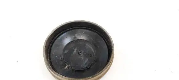 Opel Astra H Headlight/headlamp dust cover 153874