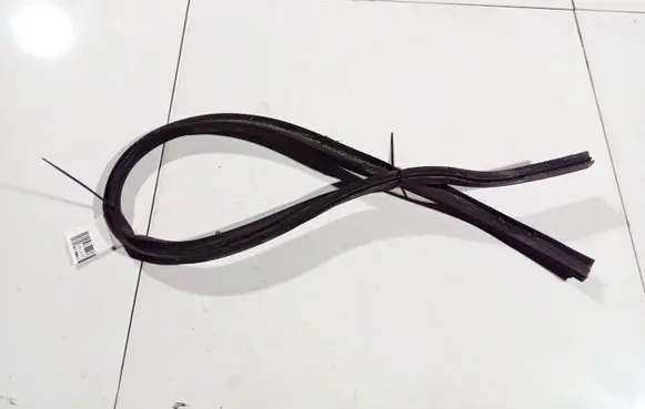 Renault Scenic I Rubber seal front coupe door 