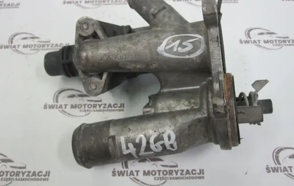 Thermostat/thermostat housing