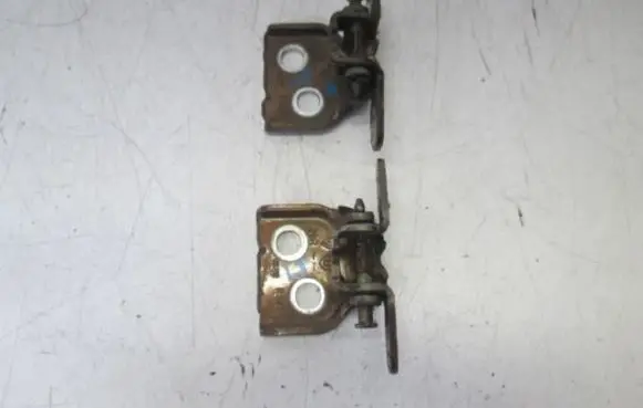 Dacia Sandero Rear door hinge set 