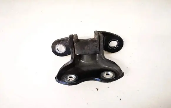 Rear door lower hinge