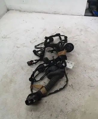 Ford Mustang VI Front door wiring loom FR3T14630AE