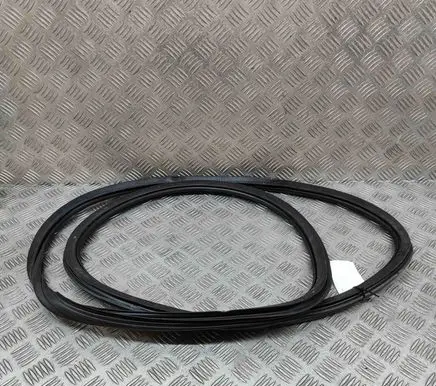 Audi RS3 Rubber seal front coupe door 8V4831721A