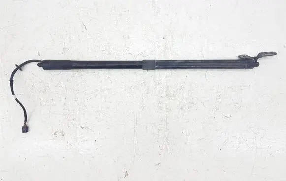 Ford C-MAX II Tailgate/trunk strut/damper 023717