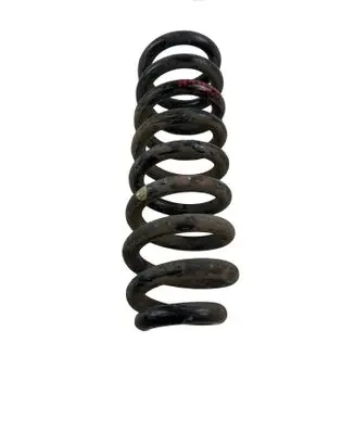 Mercedes-Benz C W205 Rear coil spring 123456
