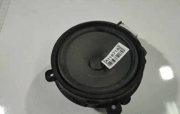 Chevrolet Captiva Front door speaker C100AU