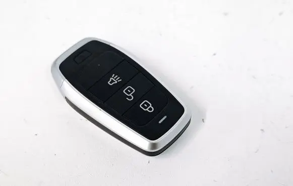 Land Rover Range Rover Sport L320 Ignition key/card 