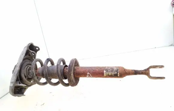 Audi A4 S4 B7 8E 8H Front shock absorber with coil spring
