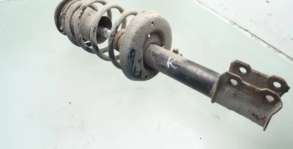 Opel Astra G Front shock absorber with coil spring 20334026