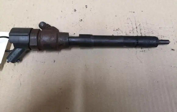 Hyundai Santa Fe Fuel injector 0445110254