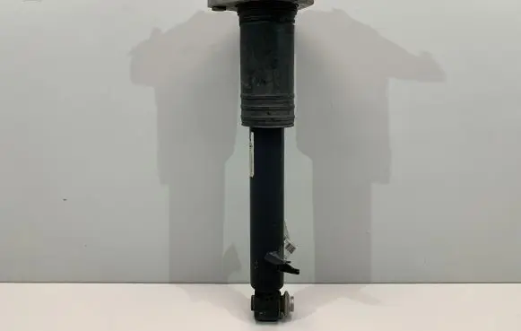 BMW X6 E71 Rear shock absorber/damper 6788511