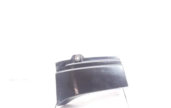 Rear/tail light trim molding