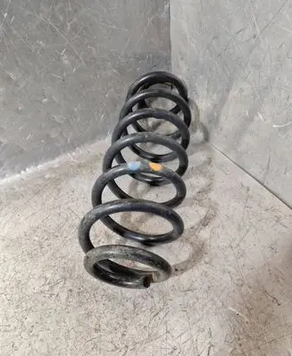 Rear coil spring