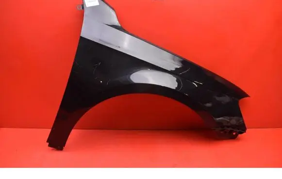 Volkswagen PASSAT B6 Fender 