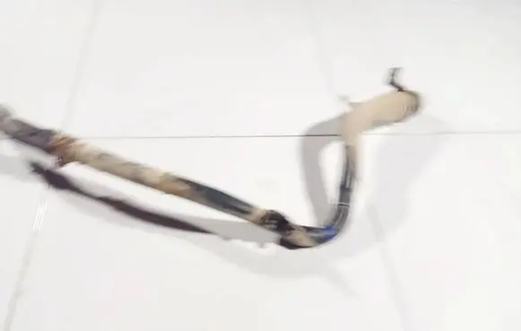 Renault Kangoo II Fuel tank filler neck pipe 
