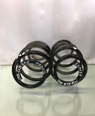 Rear coil spring