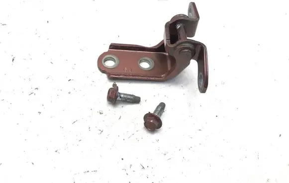 Lexus RZ Rear door lower hinge