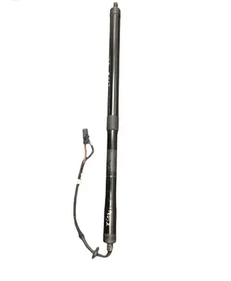 Tailgate strut