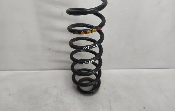 Rear coil spring