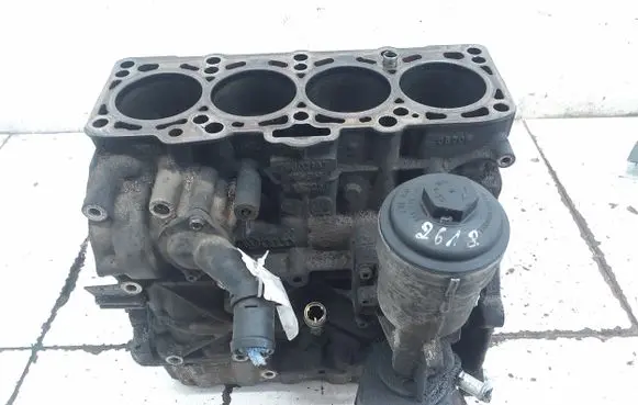 Skoda Octavia Mk2 (1Z) Engine BXE