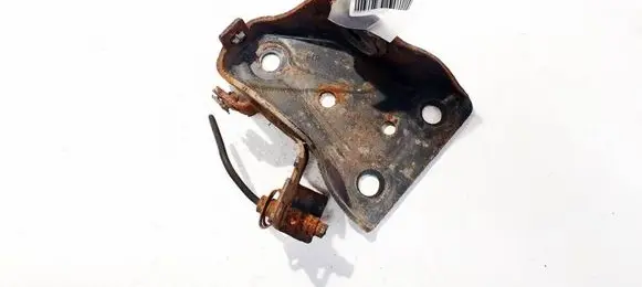 Citroen DS3 Bracket in trunk/boot 82518C31G0 27868R01