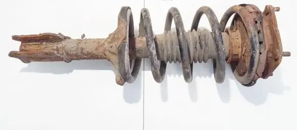 KIA Carnival Front shock absorber/damper