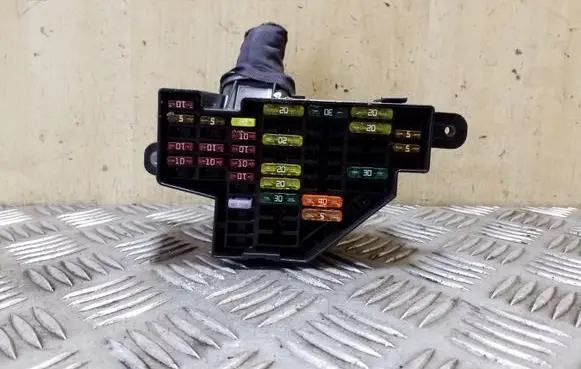 Volkswagen PASSAT B7 Fuse module