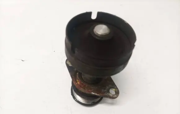 Ford Focus Alternator pulley 