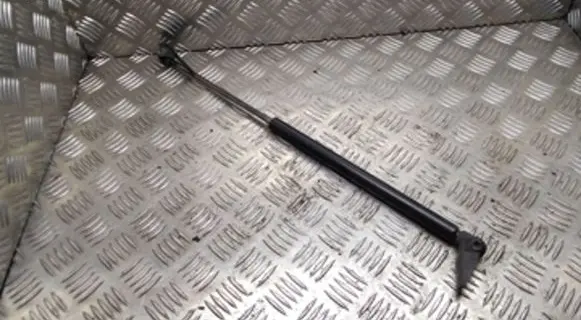 Tailgate strut